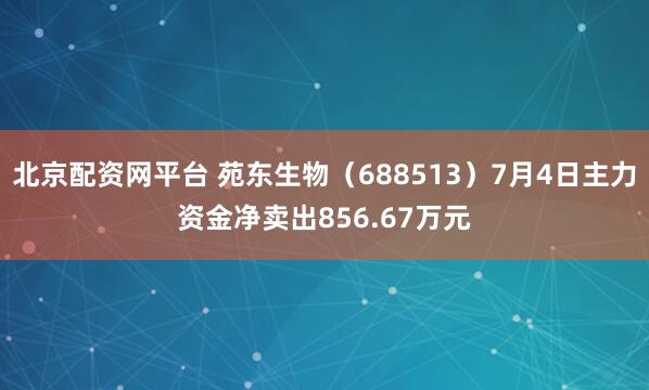 北京配资网平台 苑东生物（688513）7月4日主力资金净卖出856.67万元