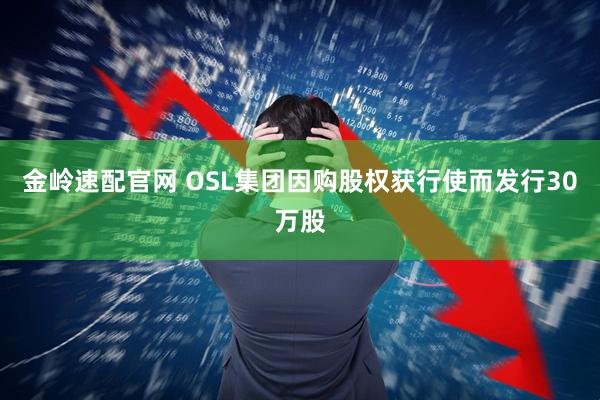 金岭速配官网 OSL集团因购股权获行使而发行30万股