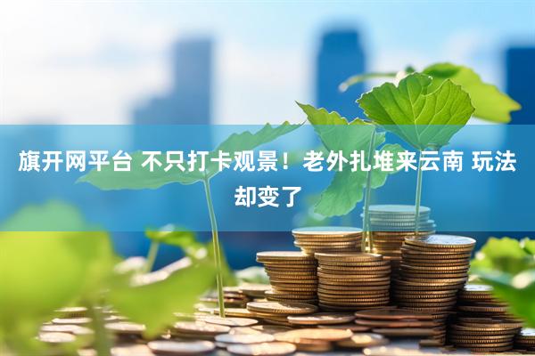 旗开网平台 不只打卡观景！老外扎堆来云南 玩法却变了